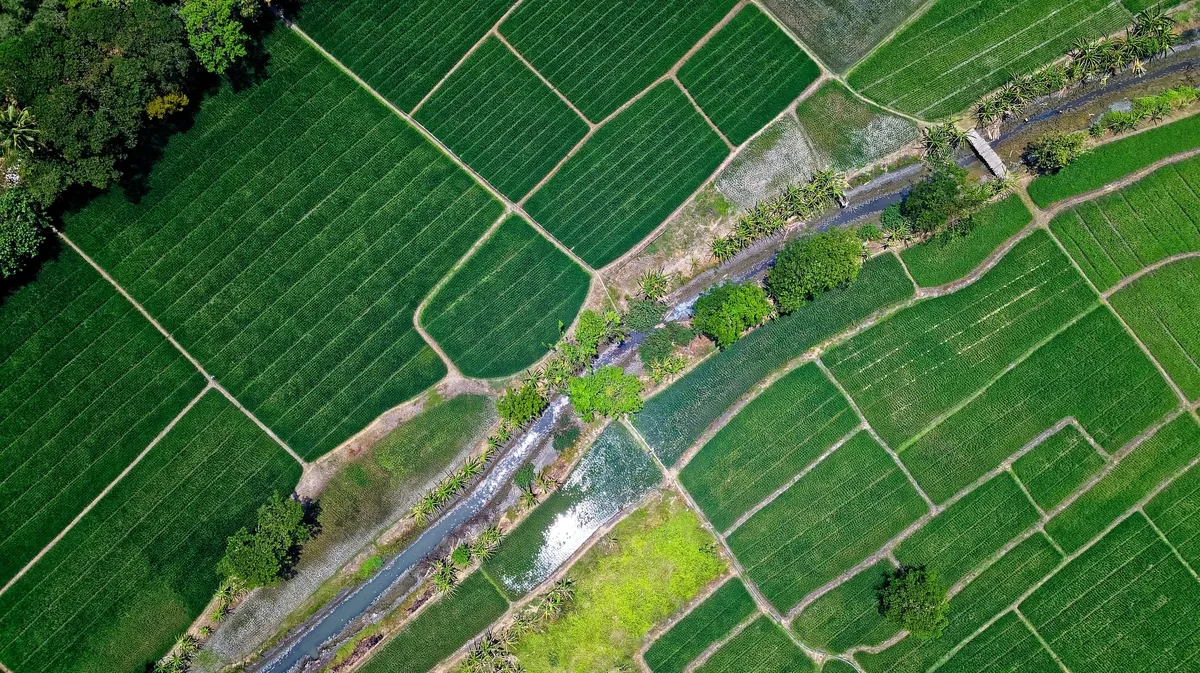 Groepswoningbouw in woonuitbreidingsgebied