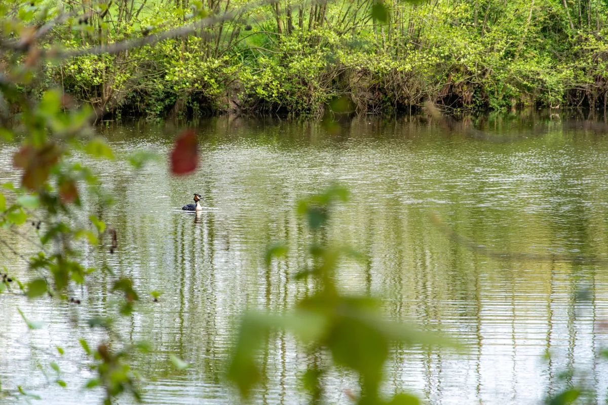 Natuur2