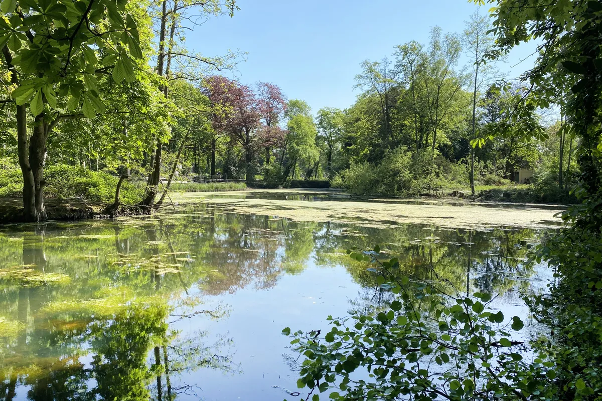 Park De Vijvers