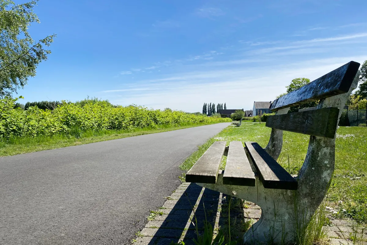 Jaagpad langs de Schelde