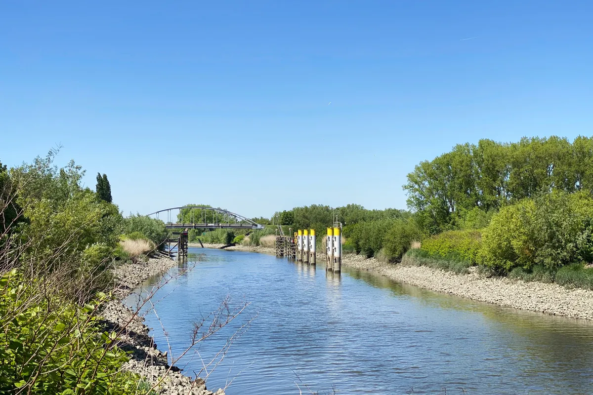 Jaagpad langs de Schelde