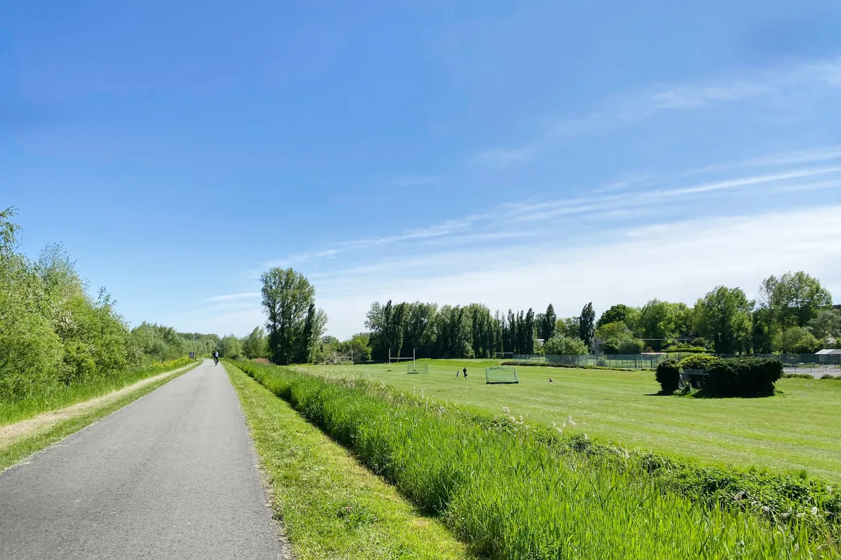 Jaagpad langs de Schelde