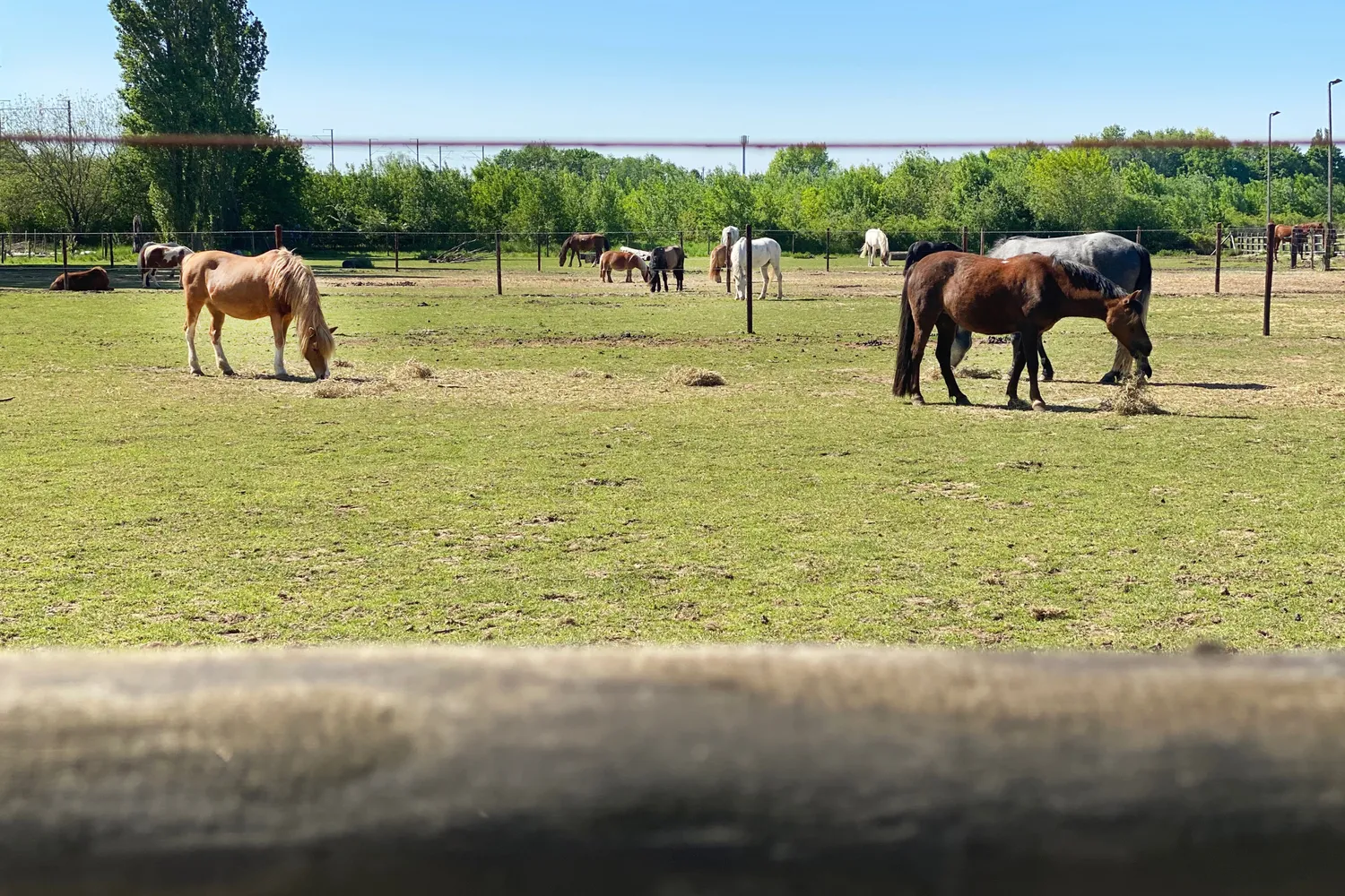 Ontdek het vastgoedaanbod van Landbergh in Melle