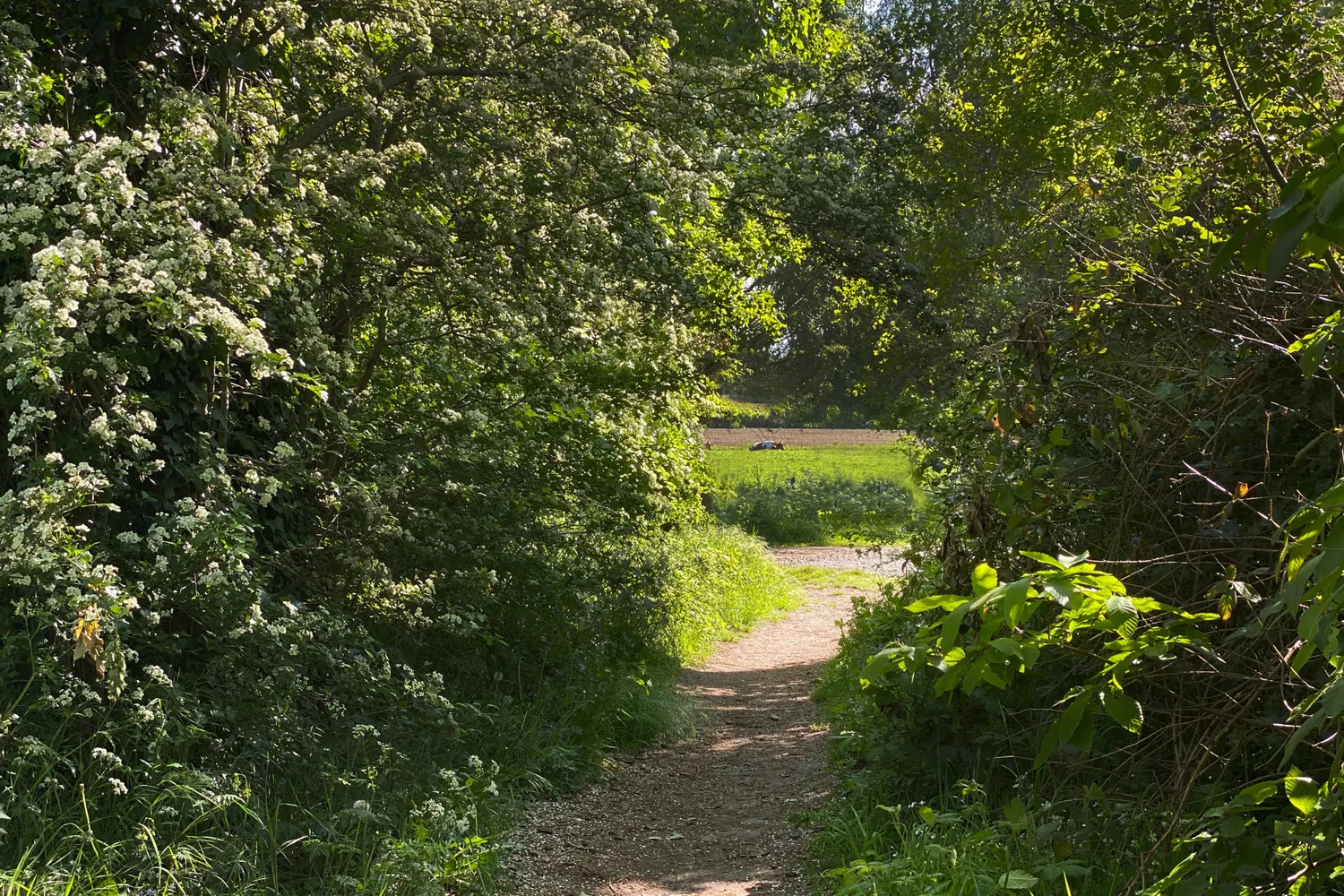 Ontdek het vastgoedaanbod van Landbergh in Melle