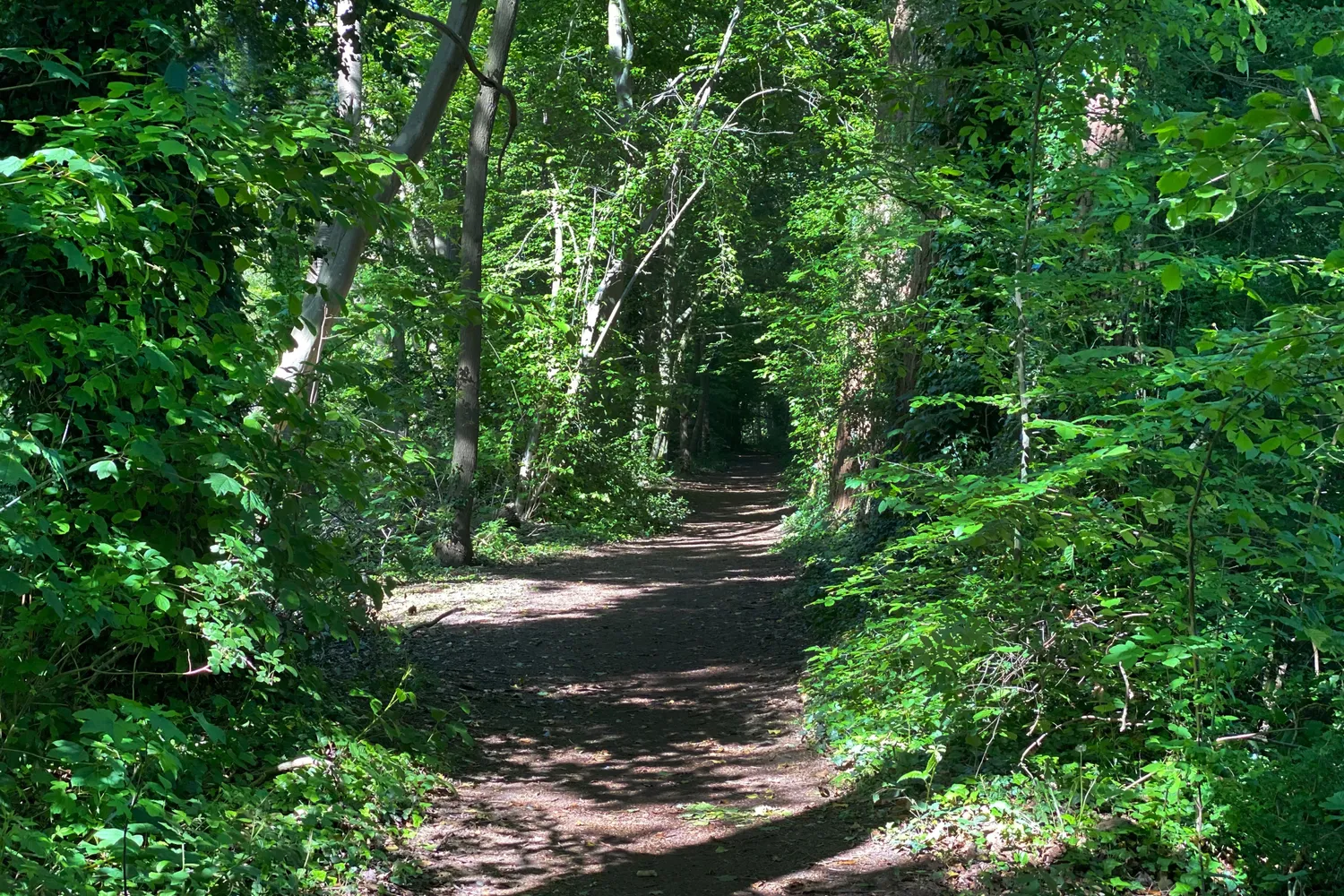 Ontdek het vastgoedaanbod van Landbergh in Melle