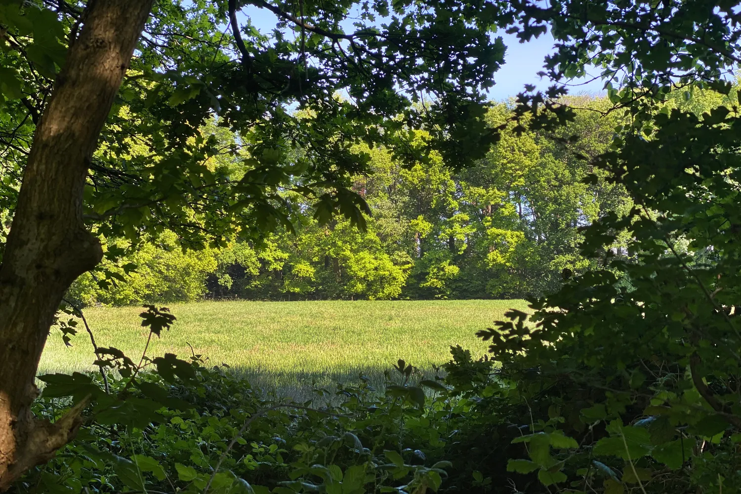 Ontdek het vastgoedaanbod van Landbergh in Melle