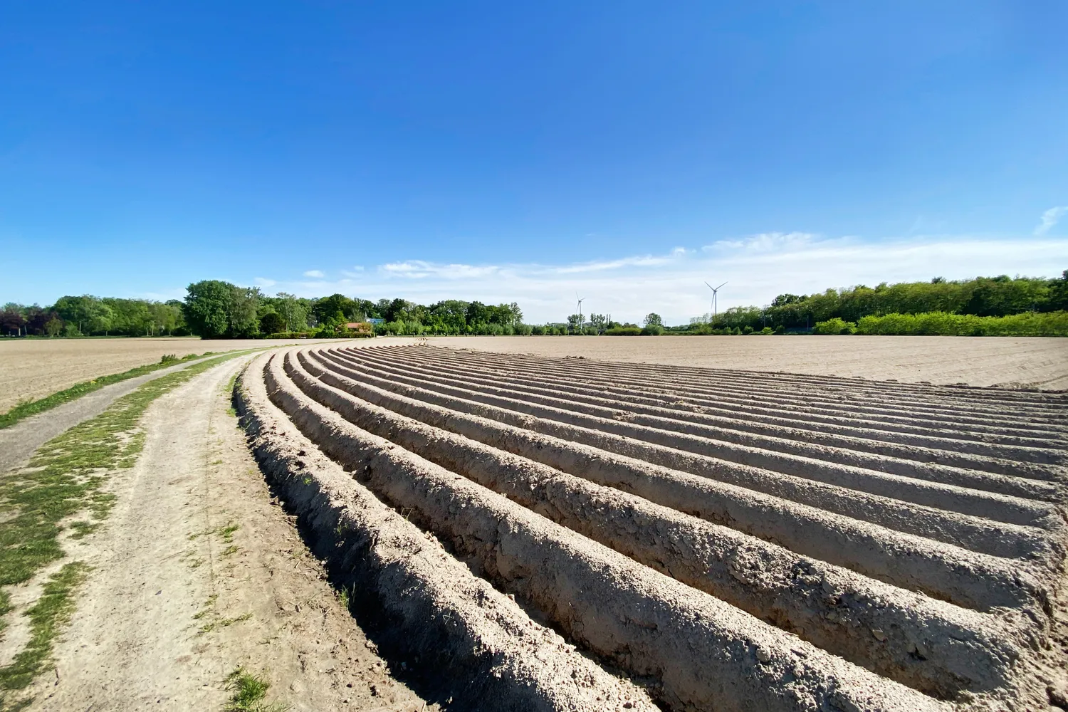 Ontdek het vastgoedaanbod van Landbergh in Melle