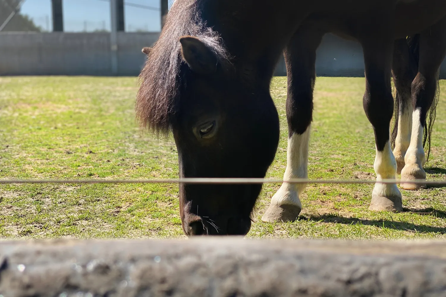 Ontdek het vastgoedaanbod van Landbergh in Melle