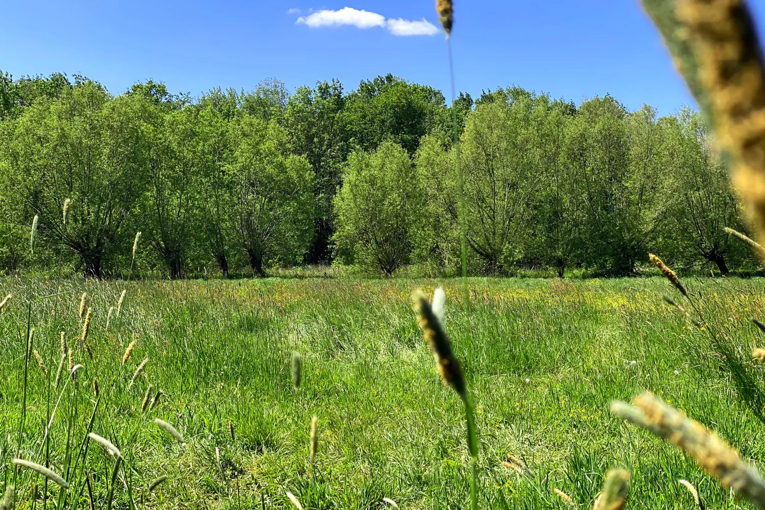 Bekijk ons vastgoedaanbod in Merelbeke