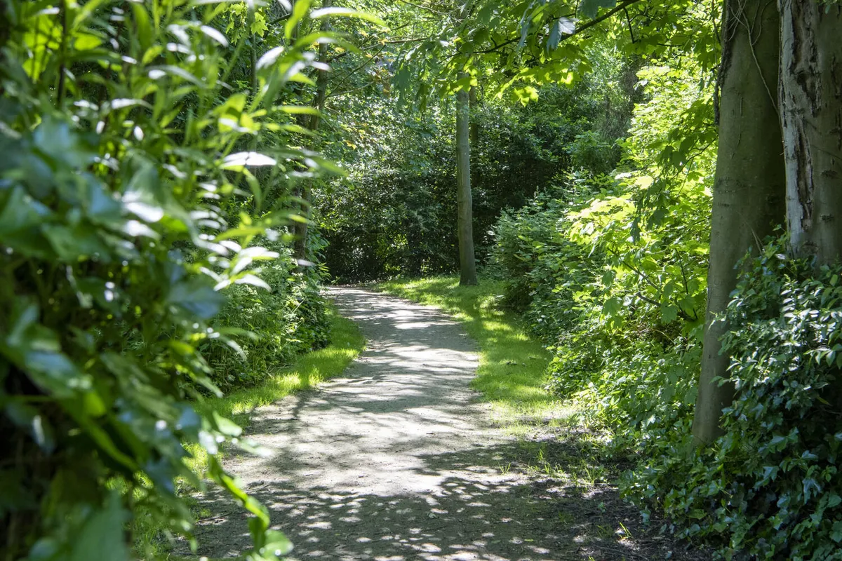 De zandbergen in wondelgem