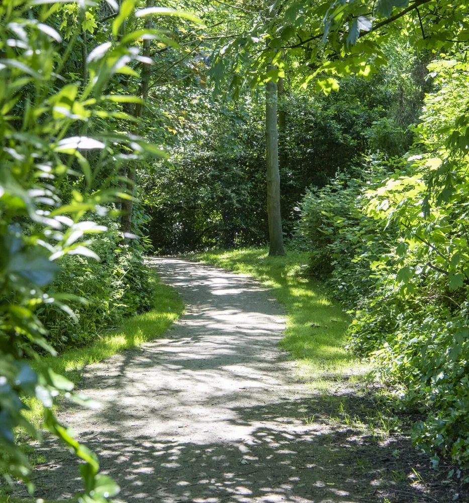 De zandbergen in wondelgem