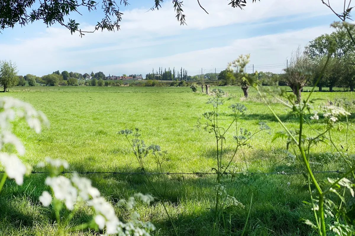 Natuur in Melle