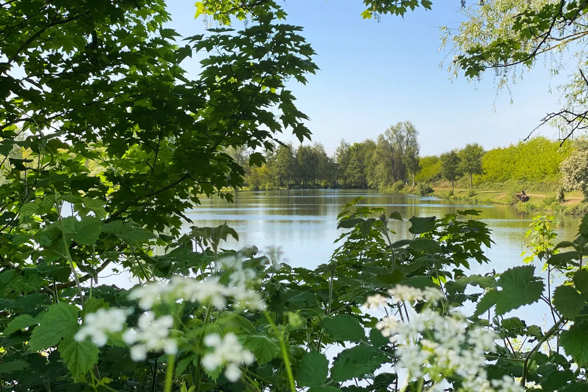 Natuur in Melle