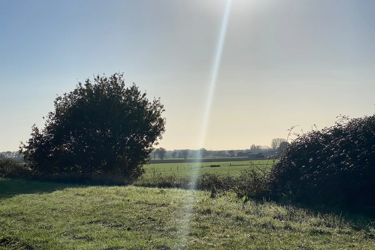 Natuur in Aalter