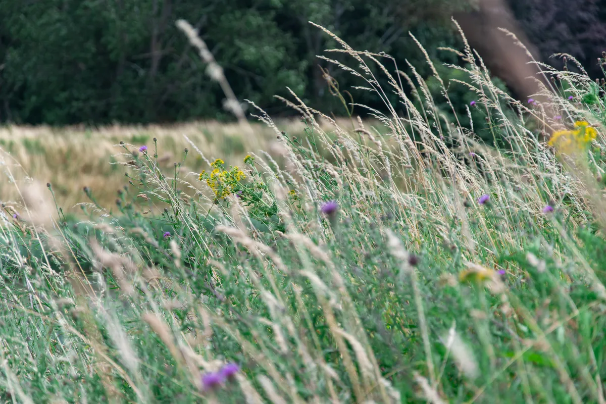 Natuur in Aalter