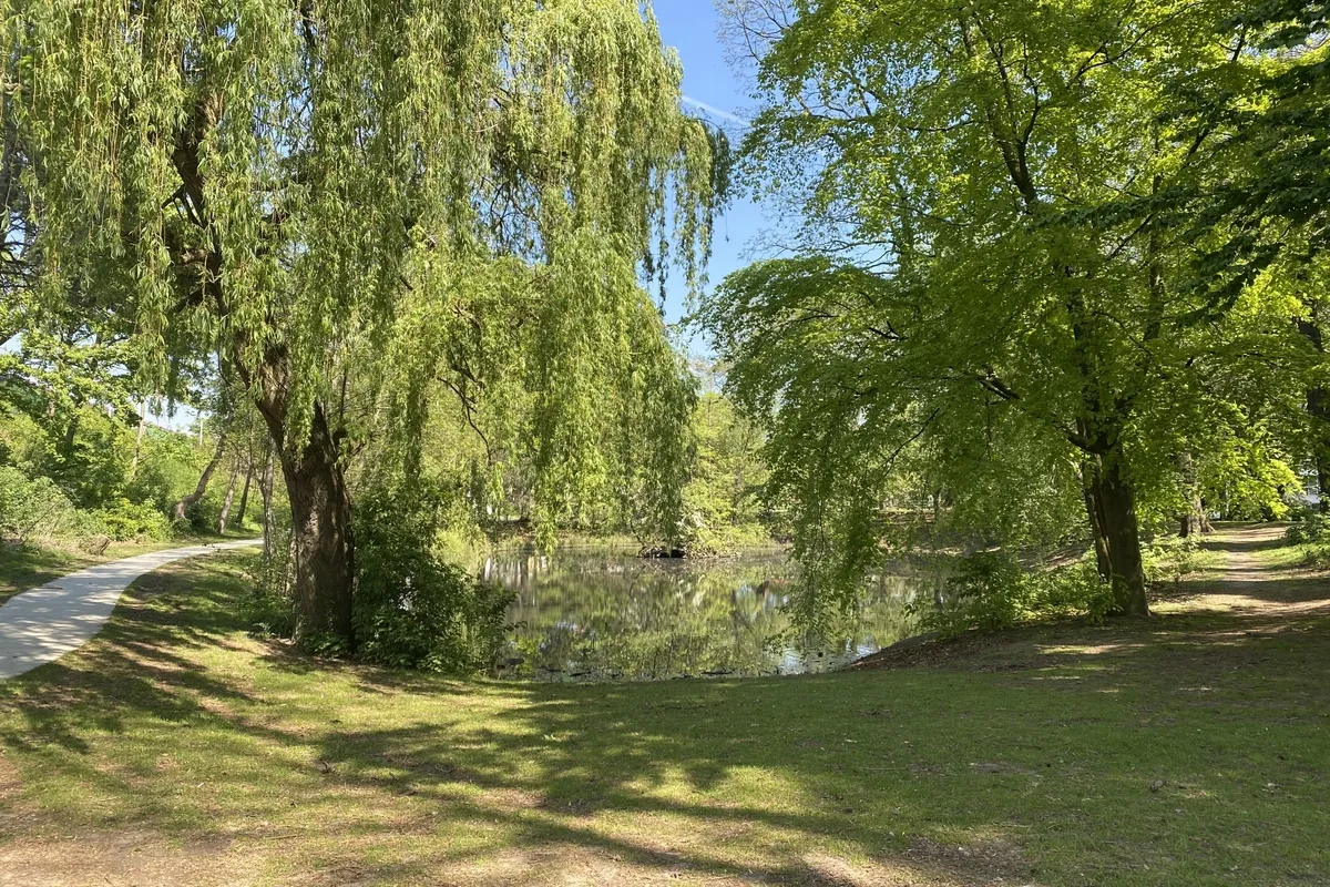 Natuur in Gentbrugge