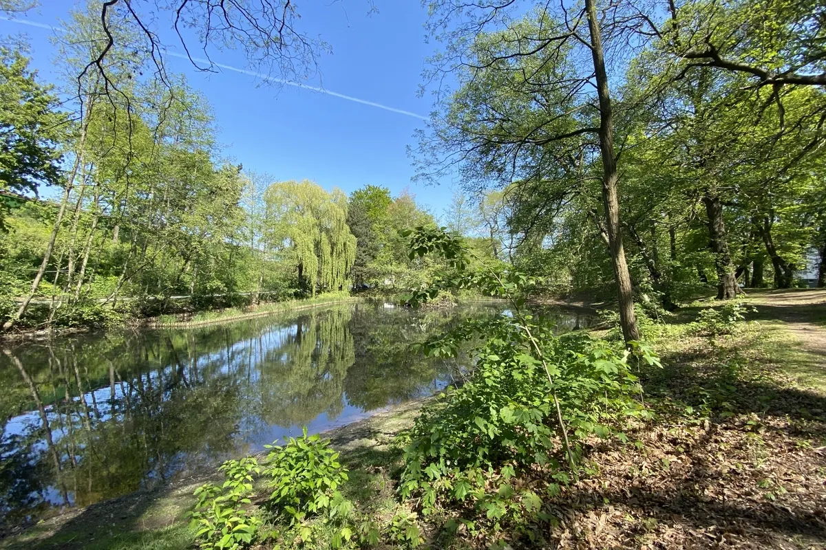 Natuur in Gentbrugge