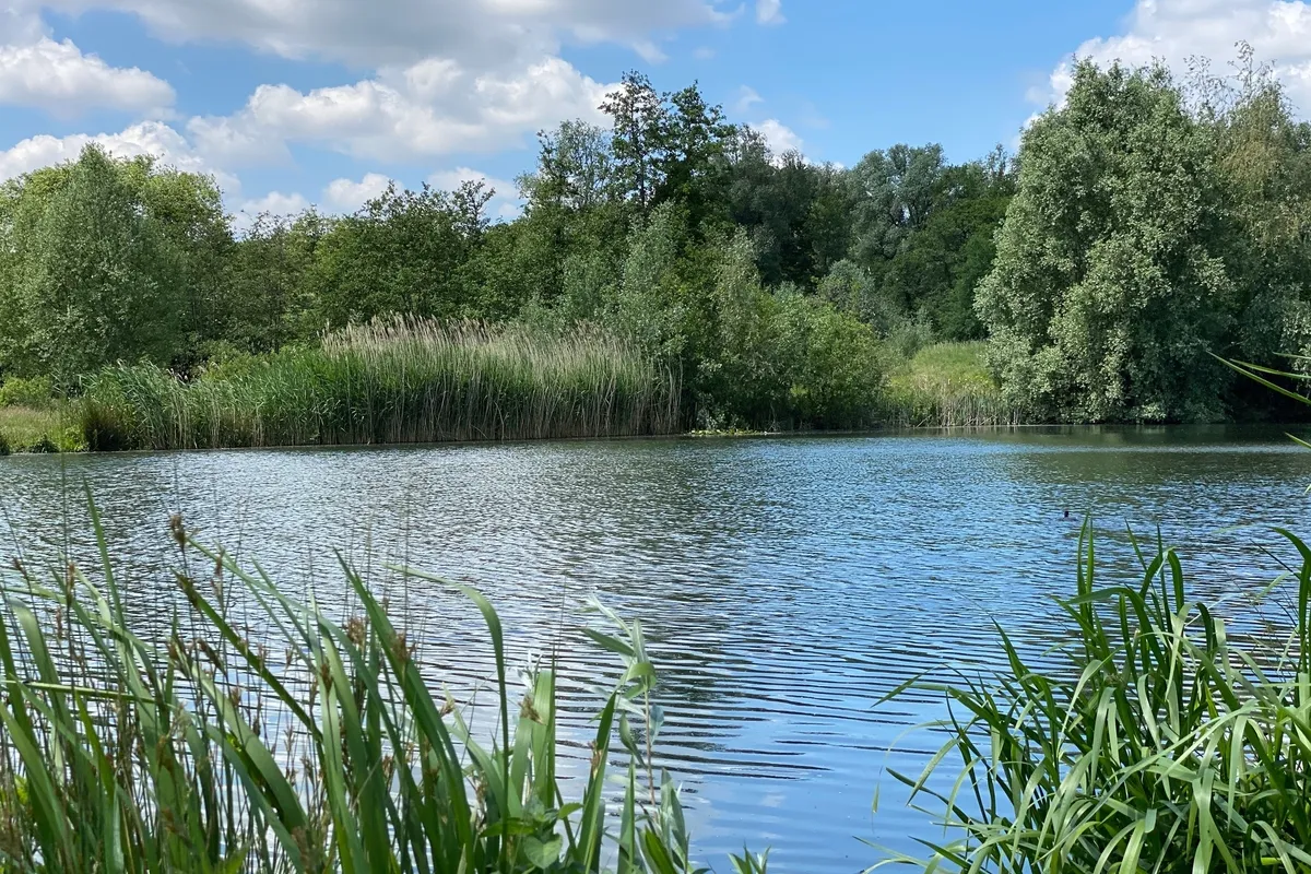 Natuur in Sint-Denijs-Westrem