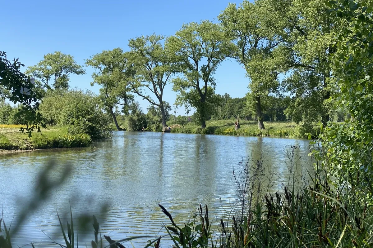 Natuur in Wondelgem