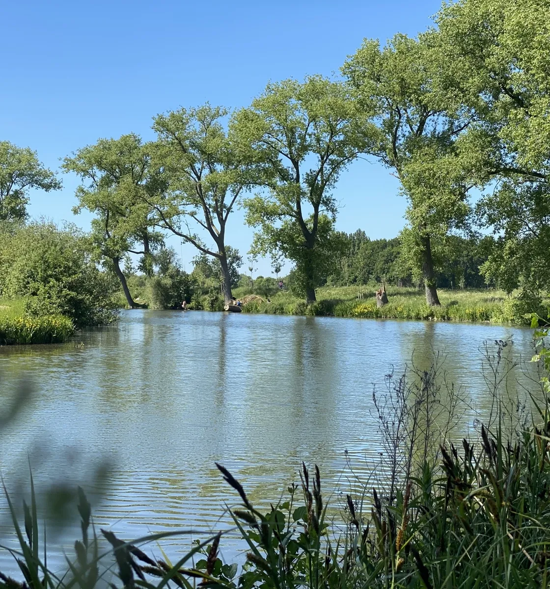 Natuur in Wondelgem