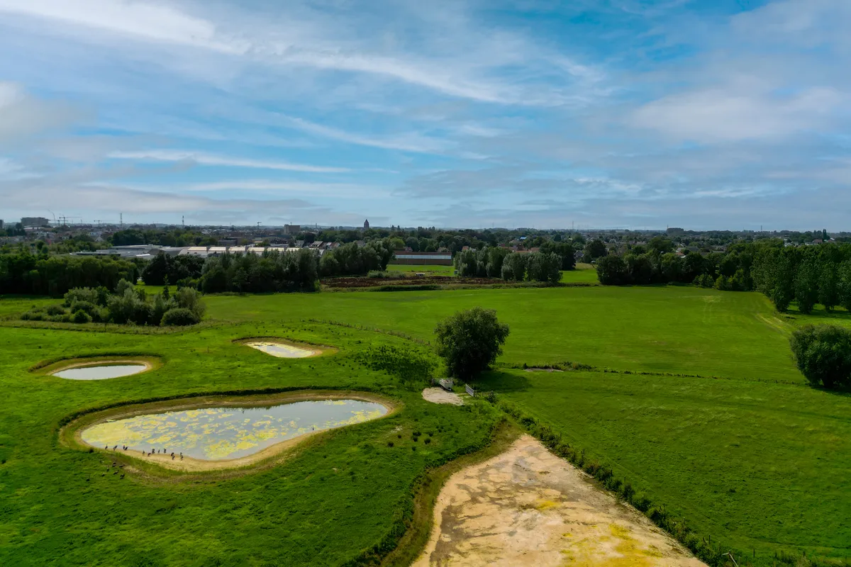 Landbergh Zulte Olsene Natuur