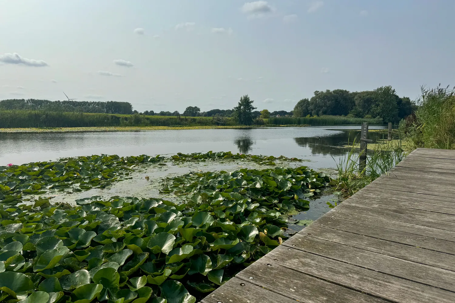 Landbergh Wielsbeke Mandeldalroute 2