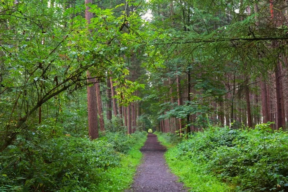 Nazareth-De Pinte Landbergh vastgoed