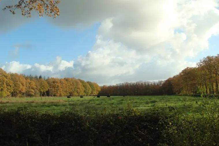 Ruiselede Landbergh vastgoed