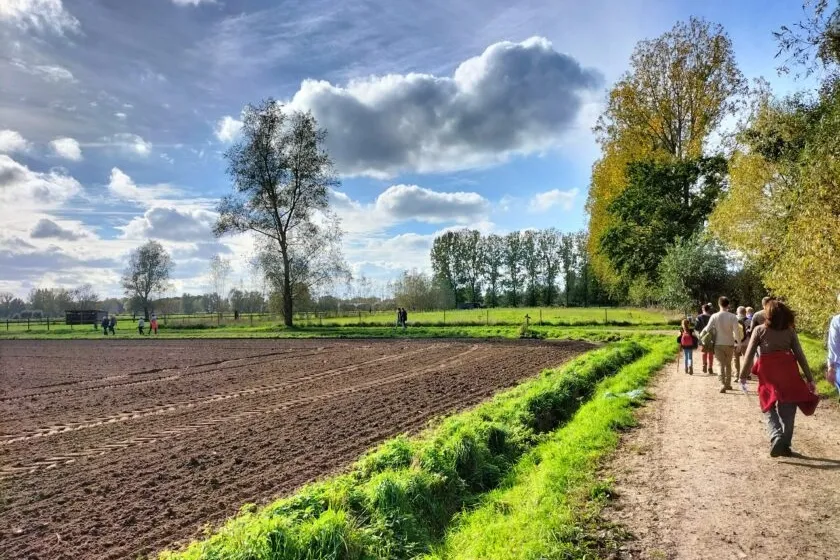 Aarsele Landbergh vastgoed