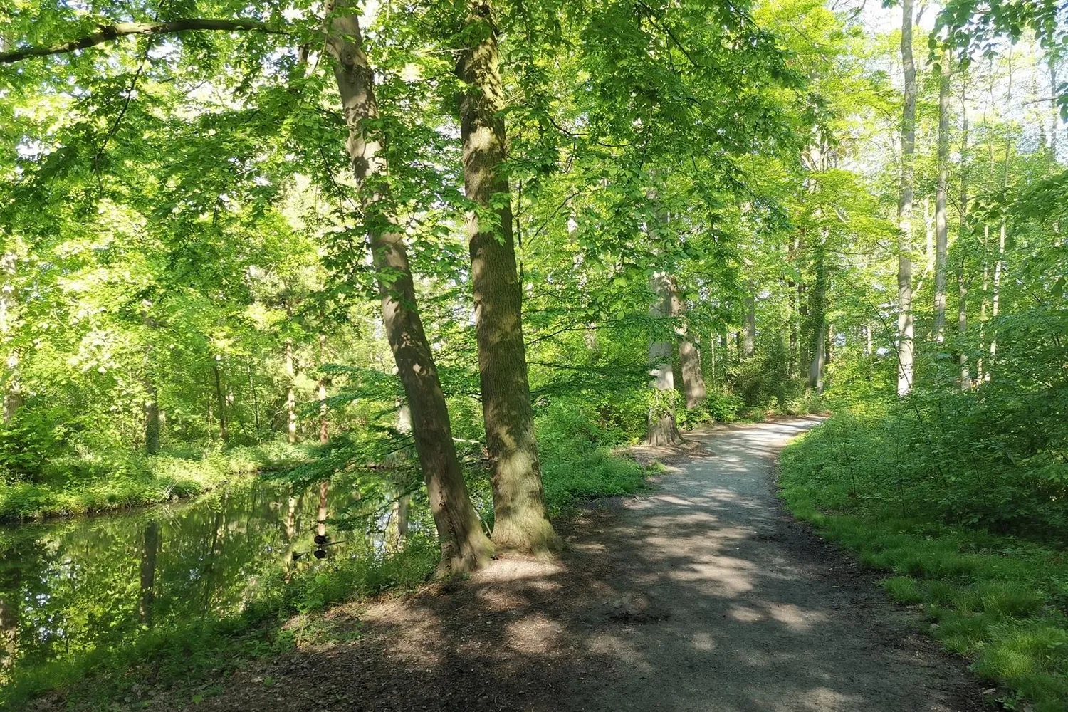 Zottegem Landbergh vastgoed