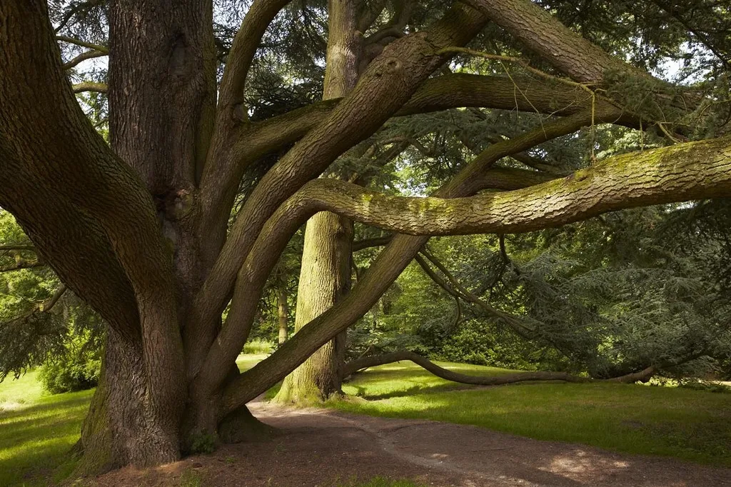 Zottegem Landbergh vastgoed