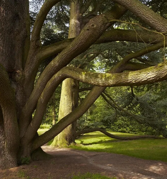 Zottegem Landbergh vastgoed