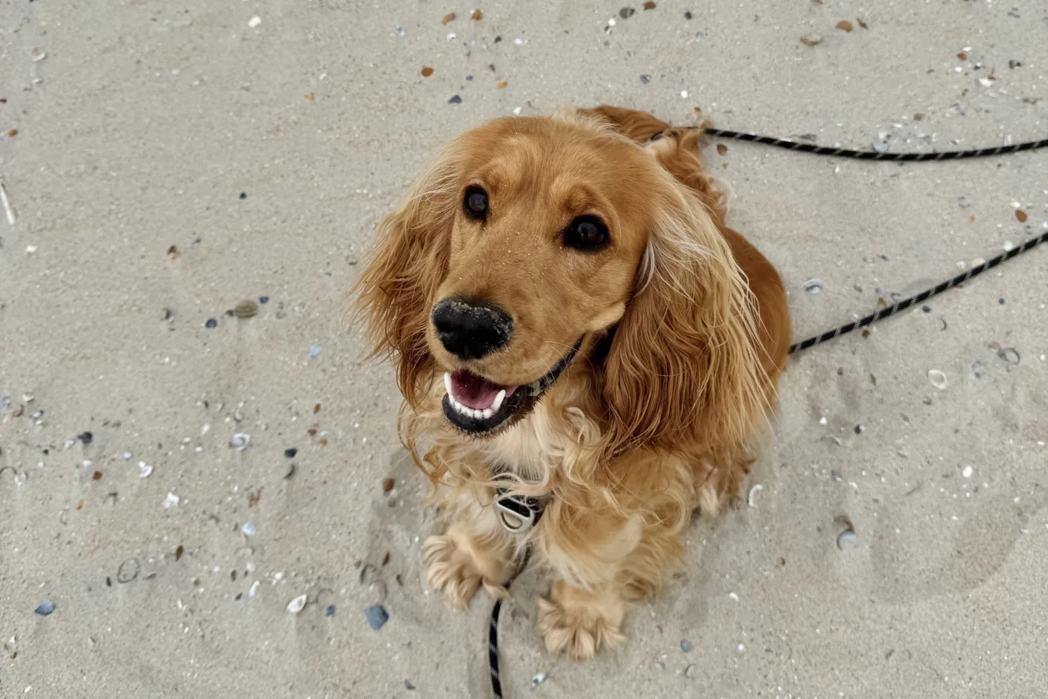 Bo Blyau | Landbergh vastgoed