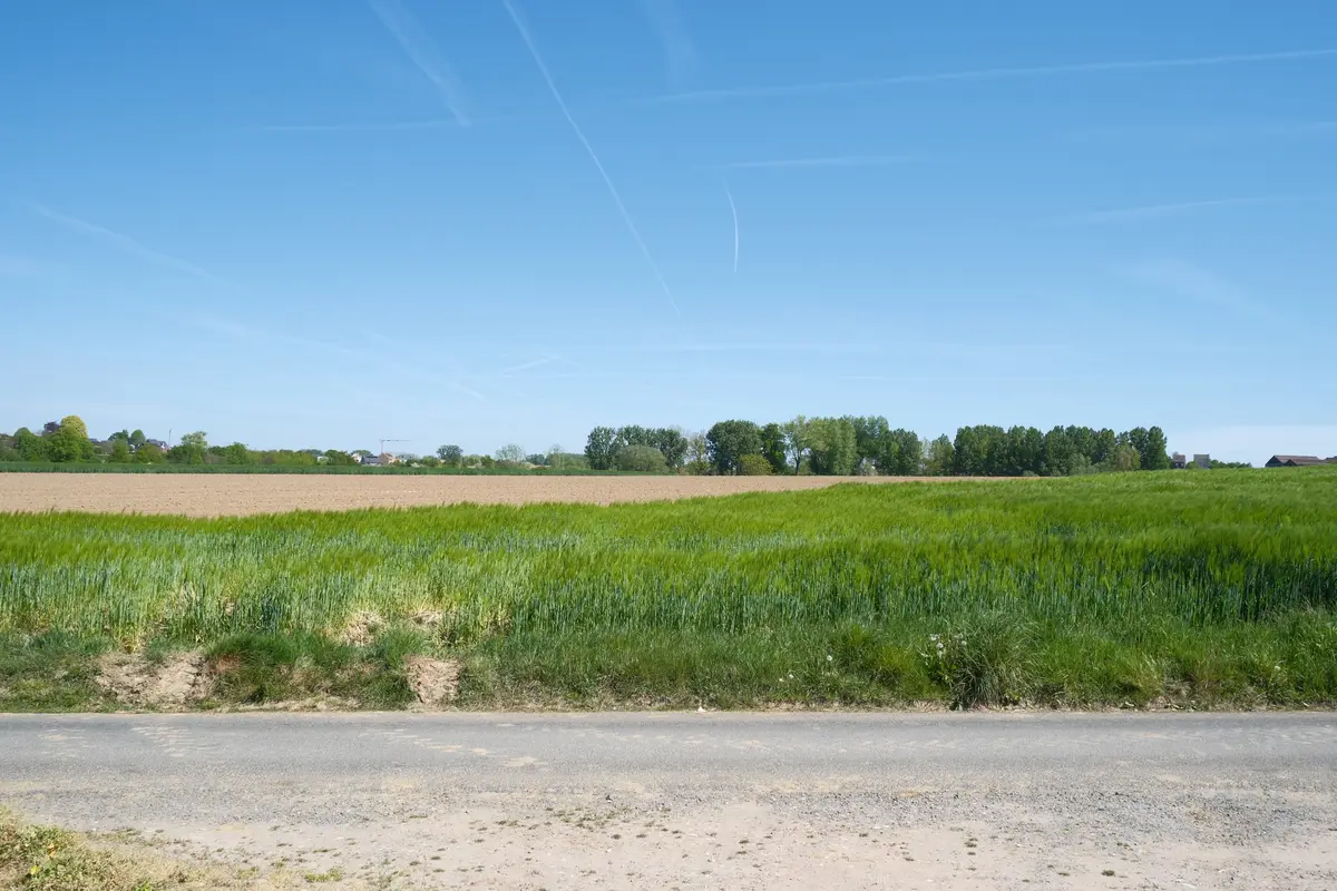 Natuur in Zottegem