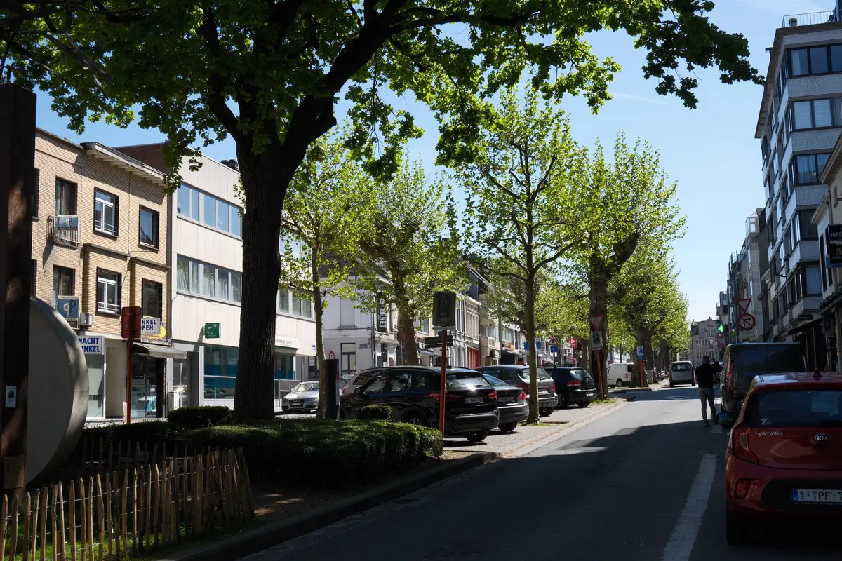 Heldenlaan in Zottegem