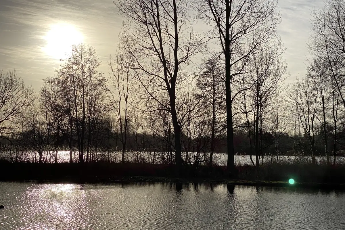 Damvalleimeer in Destelbergen