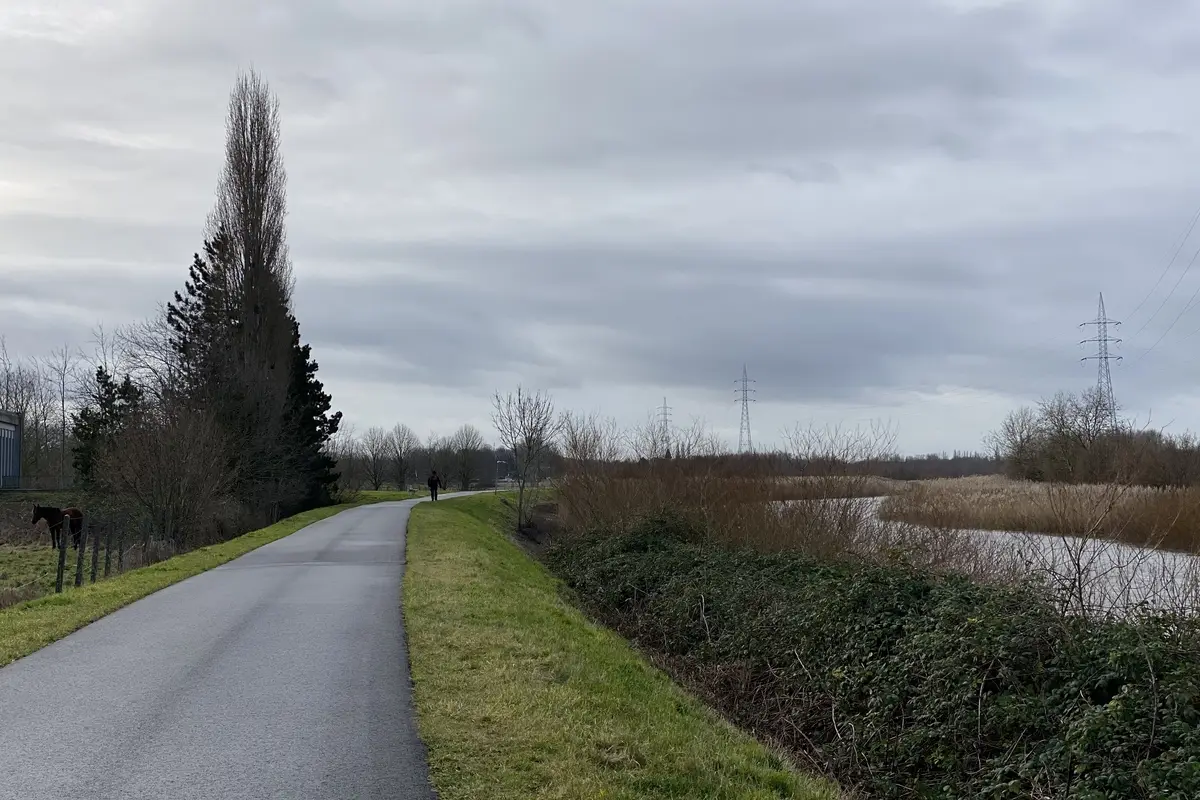 De Schelde in Destelbergen