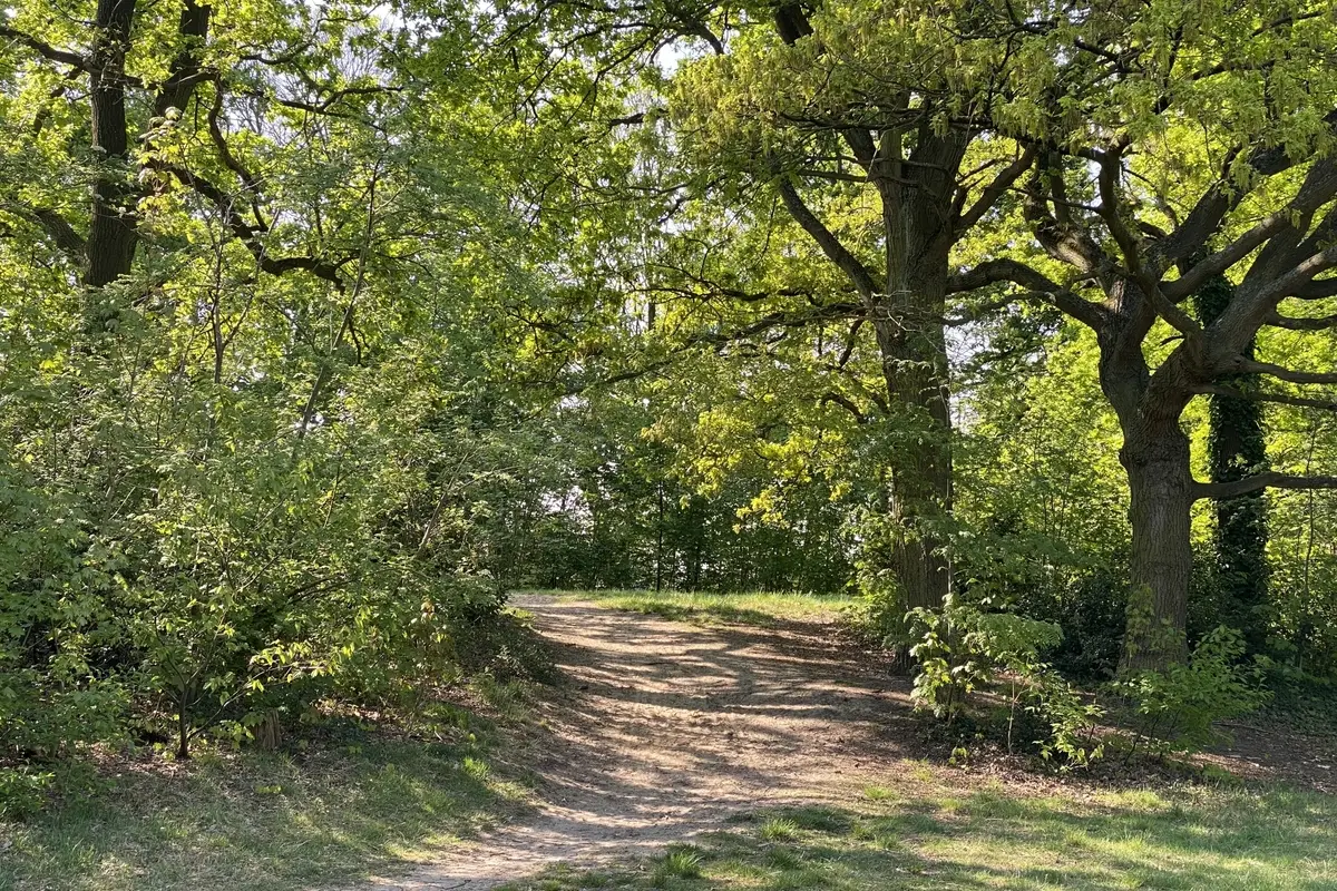 De Kollebloem in Destelbergen