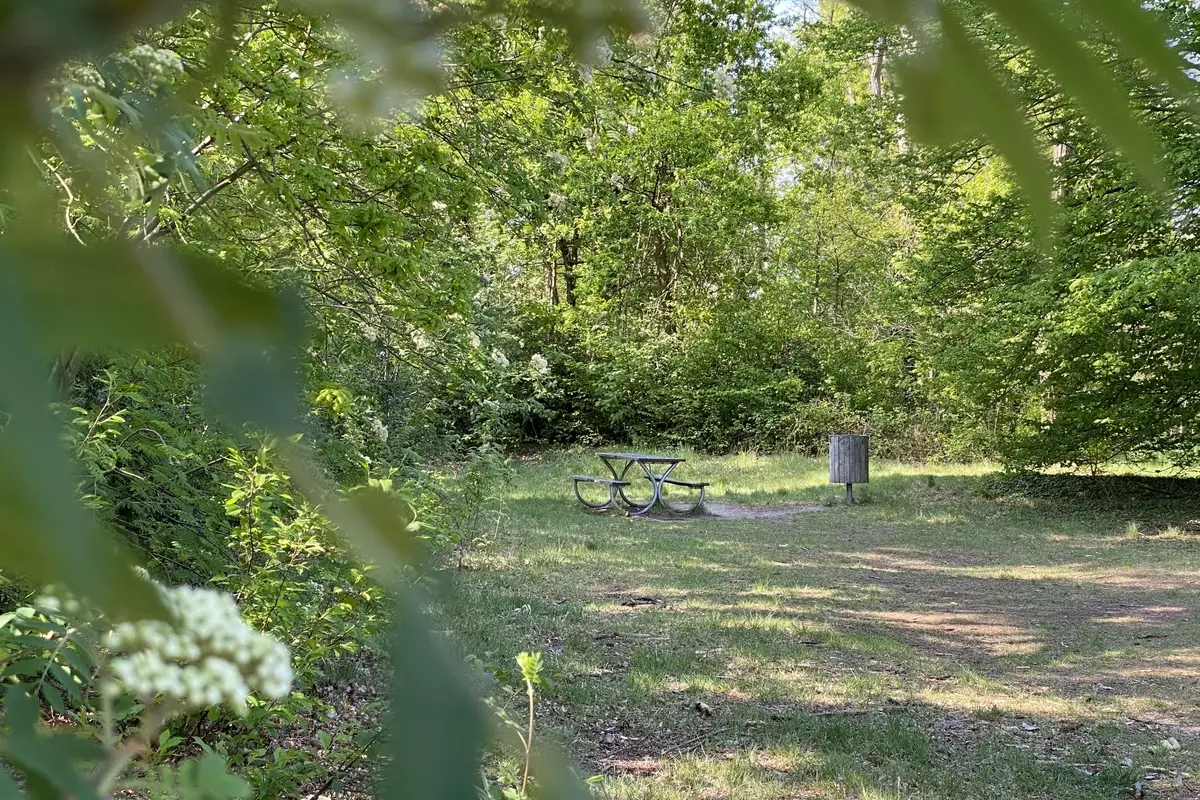 De Kollebloem in Destelbergen