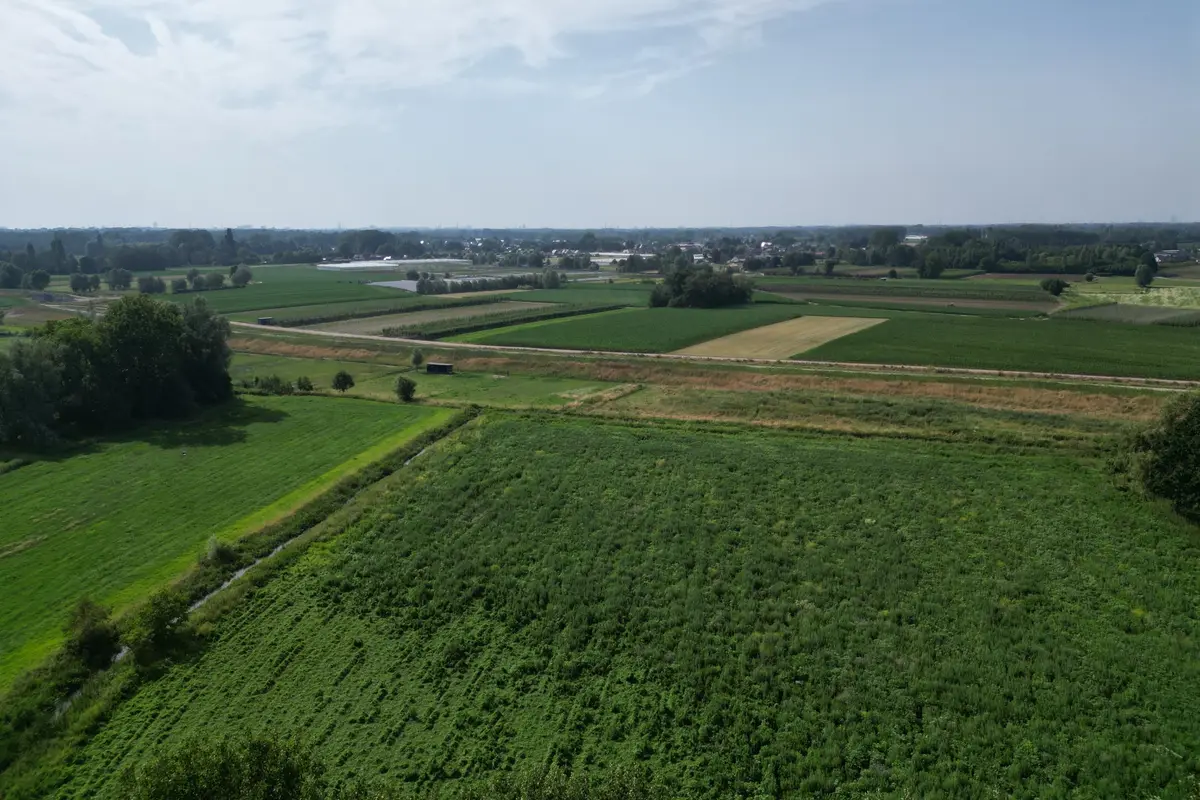 Wetteren Ten Ede