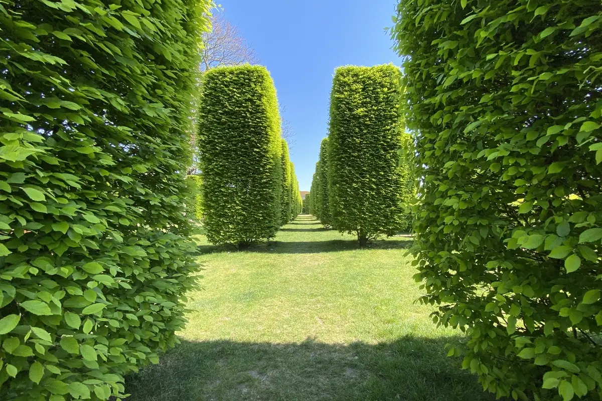 Coyendanspark in Macharius-Heirnis in Gent