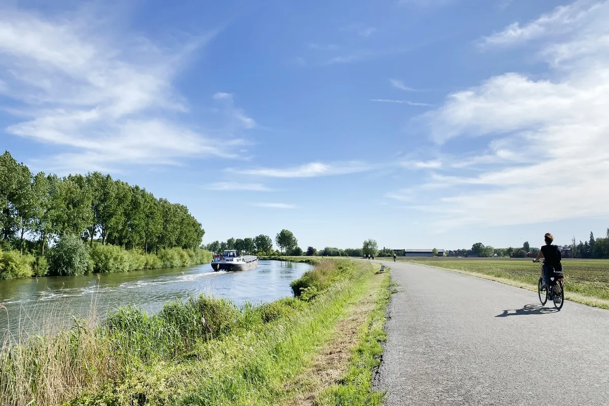 Algemeen natuur schelde