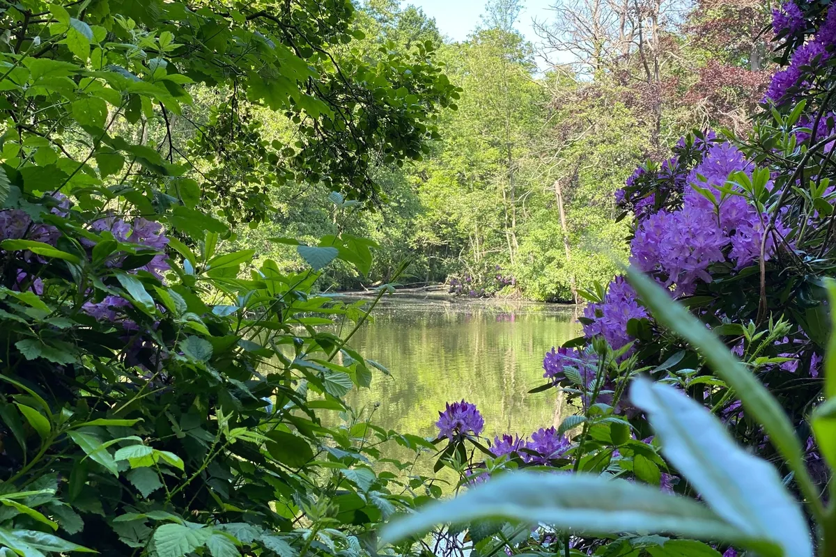 Sint Denijs Westrem natuur Borluutpark 23