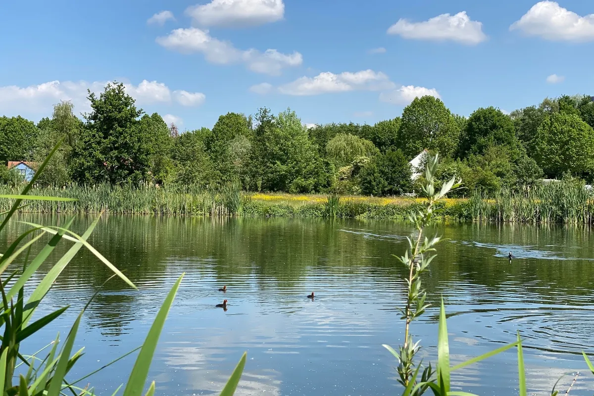 Sint Denijs Westrem natuur Natuurpark Overmeers 33