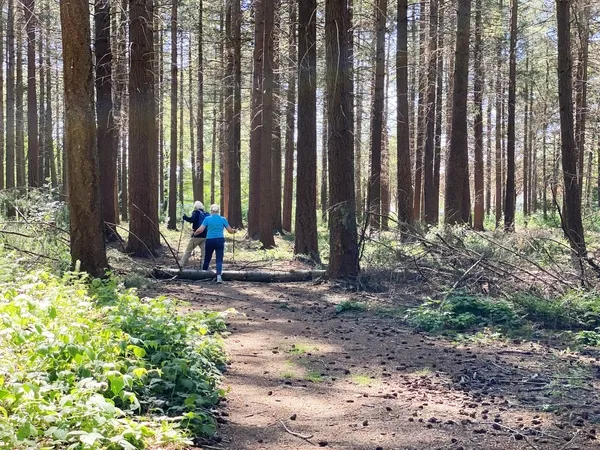 Natuurgebied Hospicebos