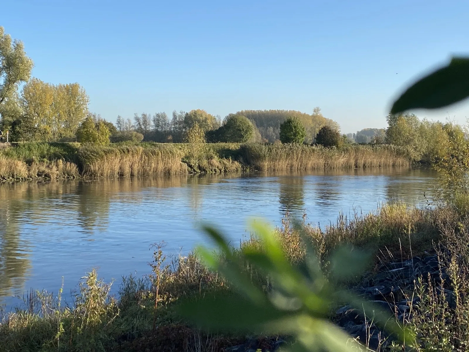 Regio Wetteren Landbergh 1