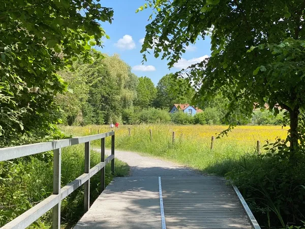 Natuurpark Overmeers