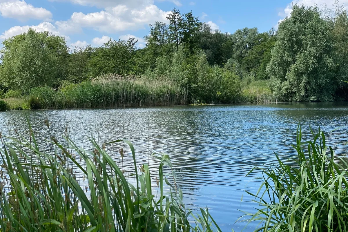 Natuurpark Overmeers