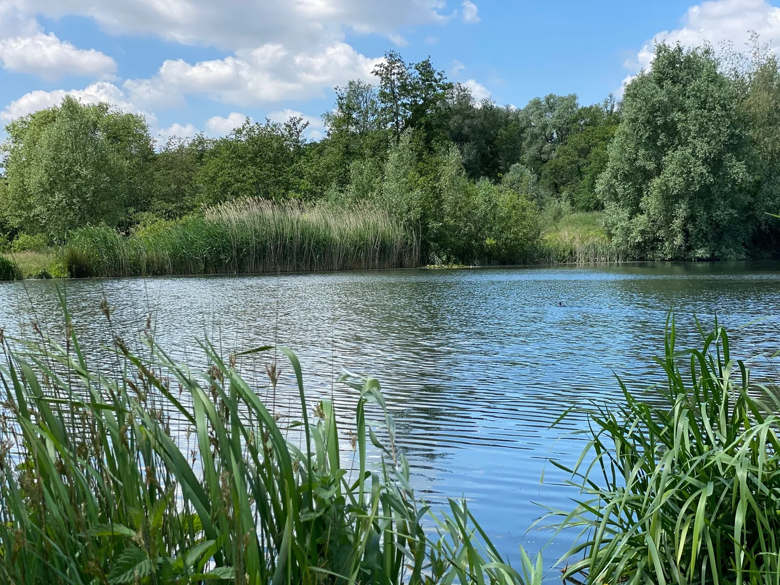 Natuurpark Overmeers