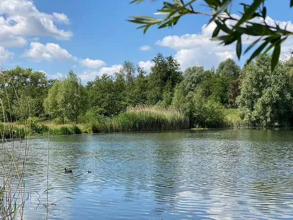 Natuurpark Overmeers